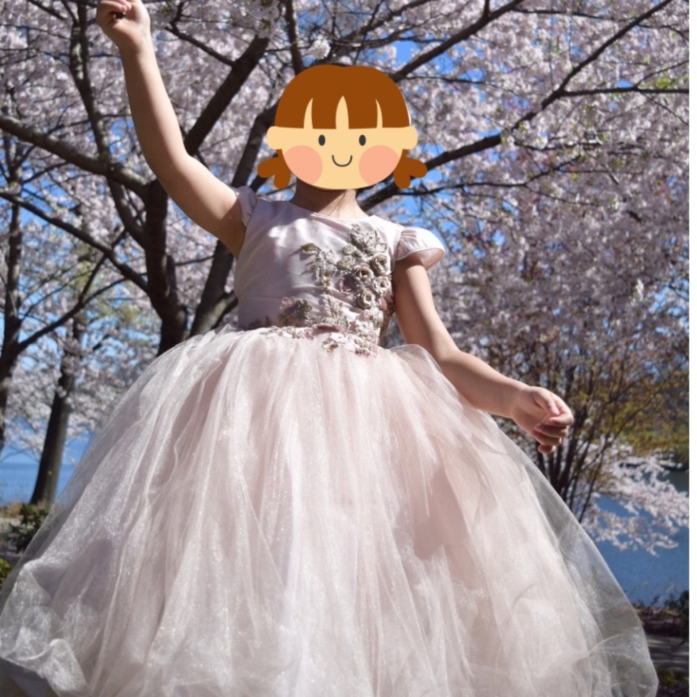Spring Princess Birthday Party Dress for 4-5 years old